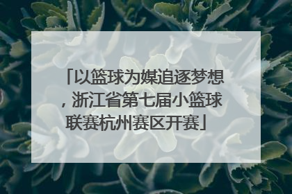 以篮球为媒追逐梦想，浙江省第七届小篮球联赛杭州赛区开赛