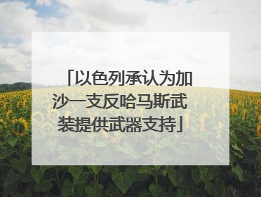 以色列承认为加沙一支反哈马斯武装提供武器支持