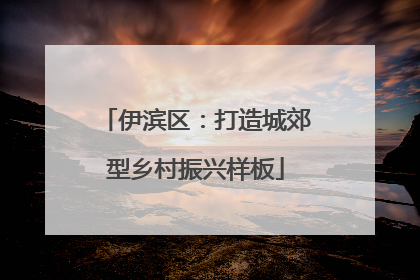 伊滨区：打造城郊型乡村振兴样板