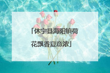 休宁县海阳镇荷花飘香夏意浓