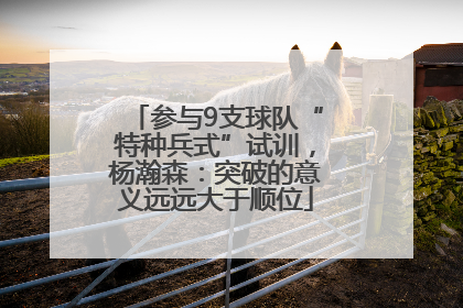 参与9支球队“特种兵式”试训，杨瀚森：突破的意义远远大于顺位