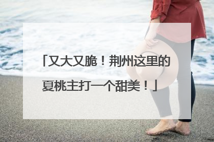 又大又脆！荆州这里的夏桃主打一个甜美！