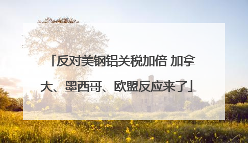反对美钢铝关税加倍 加拿大、墨西哥、欧盟反应来了