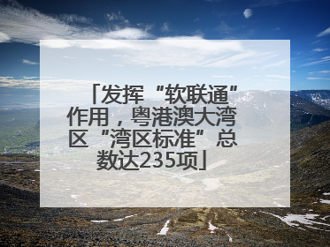 发挥“软联通”作用，粤港澳大湾区“湾区标准”总数达235项