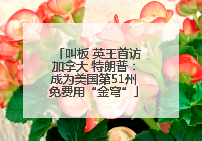 叫板 英王首访加拿大 特朗普：成为美国第51州免费用“金穹”