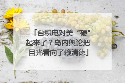 台积电对美“硬”起来了？岛内舆论把目光看向了赖清德