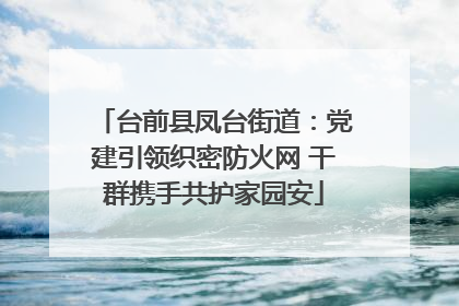 台前县凤台街道：党建引领织密防火网 干群携手共护家园安