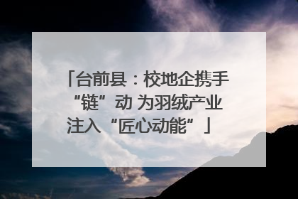 台前县：校地企携手“链”动 为羽绒产业注入“匠心动能”