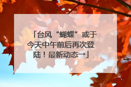 台风“蝴蝶”或于今天中午前后再次登陆！最新动态→