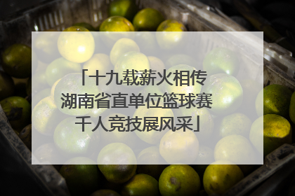 十九载薪火相传 湖南省直单位篮球赛千人竞技展风采