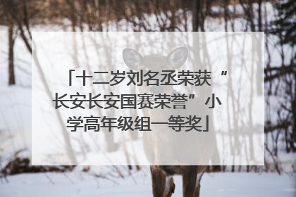 十二岁刘名丞荣获“长安长安国赛荣誉”小学高年级组一等奖