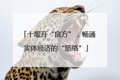 十堰开“良方”，畅通实体经济的“筋络”