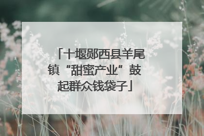 十堰郧西县羊尾镇“甜蜜产业”鼓起群众钱袋子