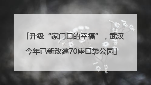 升级“家门口的幸福”，武汉今年已新改建70座口袋公园