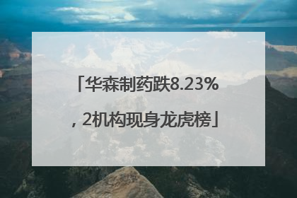 华森制药跌8.23%，2机构现身龙虎榜