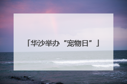 华沙举办“宠物日”