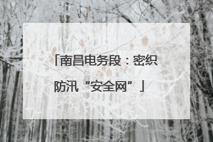 南昌电务段：密织防汛“安全网”
