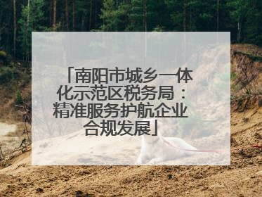 南阳市城乡一体化示范区税务局：精准服务护航企业合规发展