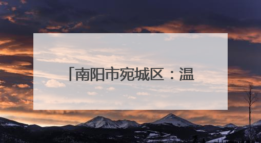 南阳市宛城区：温暖“志愿红”守护居民“幸福路”