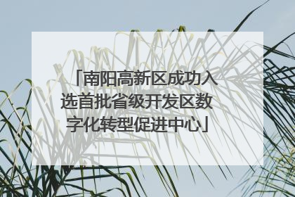南阳高新区成功入选首批省级开发区数字化转型促进中心