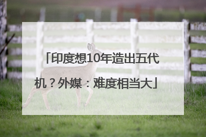 印度想10年造出五代机？外媒：难度相当大