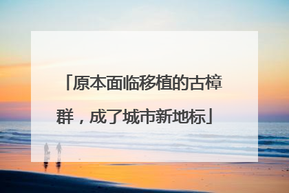 原本面临移植的古樟群，成了城市新地标