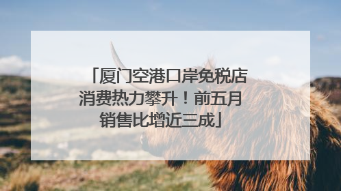 厦门空港口岸免税店消费热力攀升！前五月销售比增近三成
