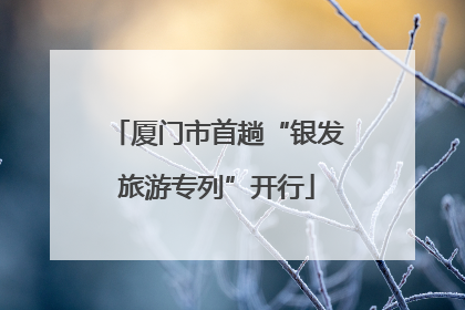 厦门市首趟“银发旅游专列”开行