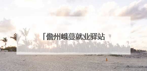 儋州峨蔓就业驿站助力困难群众就业
