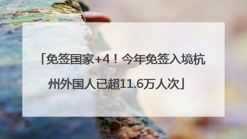 免签国家+4！今年免签入境杭州外国人已超11.6万人次