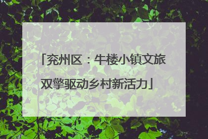 兖州区：牛楼小镇文旅双擎驱动乡村新活力