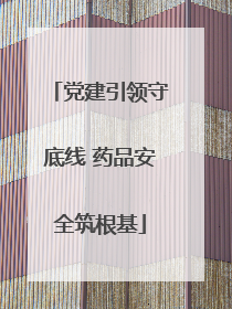 党建引领守底线 药品安全筑根基