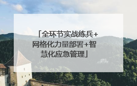 全环节实战练兵+网格化力量部署+智慧化应急管理