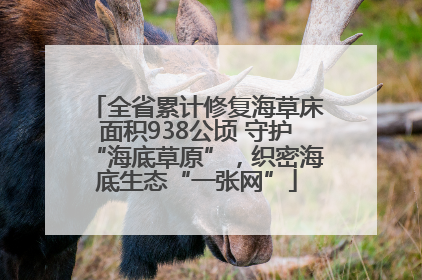 全省累计修复海草床面积938公顷 守护“海底草原”，织密海底生态“一张网”