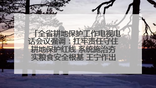 全省耕地保护工作电视电话会议强调：扛牢责任守住耕地保护红线 系统施治夯实粮食安全根基 王宁作出批示 王予波出席并讲话
