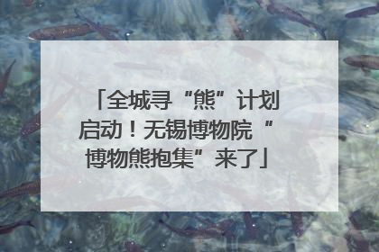 全城寻“熊”计划启动！无锡博物院“博物熊抱集”来了