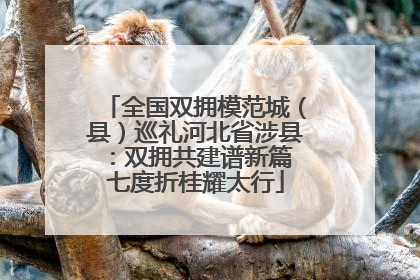 全国双拥模范城（县）巡礼河北省涉县：双拥共建谱新篇 七度折桂耀太行