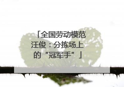 全国劳动模范汪俊：分拣场上的“冠军手”