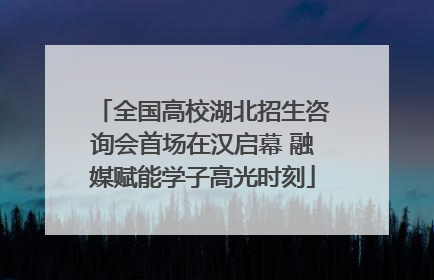 全国高校湖北招生咨询会首场在汉启幕 融媒赋能学子高光时刻