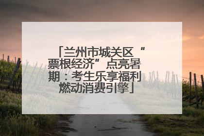 兰州市城关区“票根经济”点亮暑期：考生乐享福利 燃动消费引擎