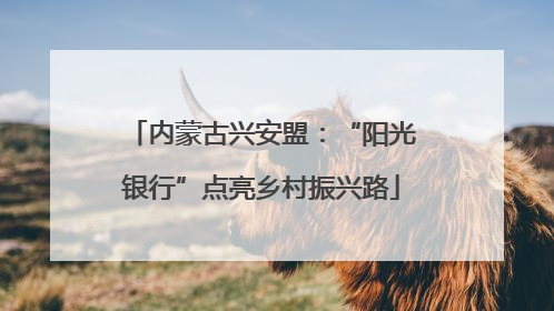 内蒙古兴安盟：“阳光银行”点亮乡村振兴路