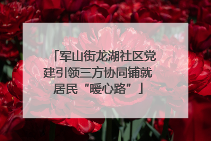 军山街龙湖社区党建引领三方协同铺就居民“暖心路”