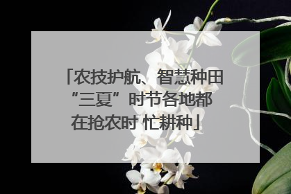 农技护航、智慧种田 “三夏”时节各地都在抢农时 忙耕种