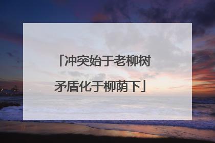 冲突始于老柳树 矛盾化于柳荫下