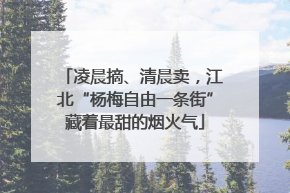凌晨摘、清晨卖，江北“杨梅自由一条街”藏着最甜的烟火气