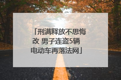 刑满释放不思悔改 男子连盗5辆电动车再落法网