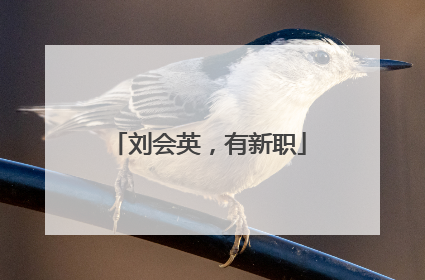 刘会英，有新职