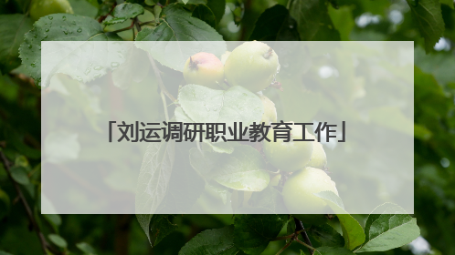 刘运调研职业教育工作