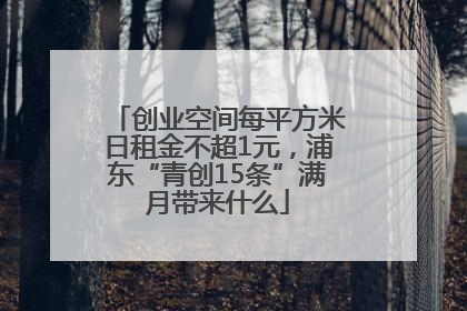 创业空间每平方米日租金不超1元，浦东“青创15条”满月带来什么