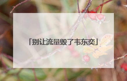 别让流量毁了韦东奕
